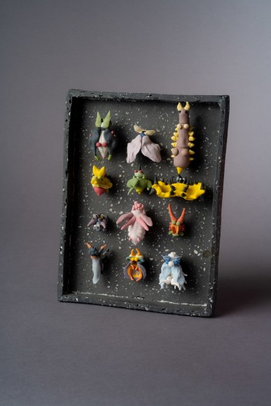 Nick Weddell, Gorglax&#039;s Bug Collection, 2020