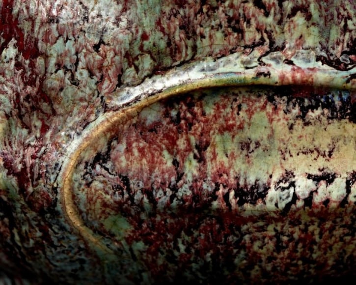 Fire Salamander Vase