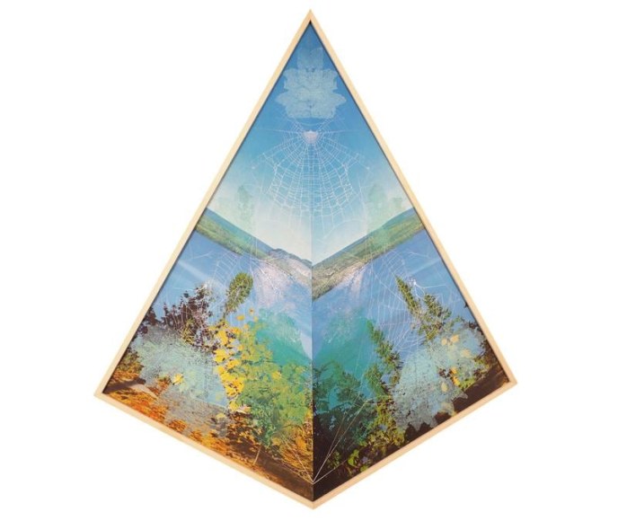  Rem&nbsp;Denizen The Benevolent Metaphysics of Essentialism Fall, 2016