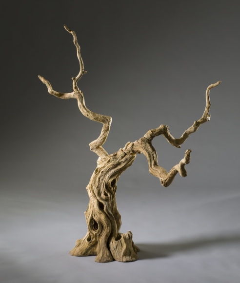 In Focus: Eric Serritella