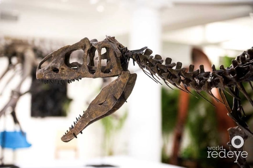 Design Miami/ Podium 2020 &ndash; Day 1