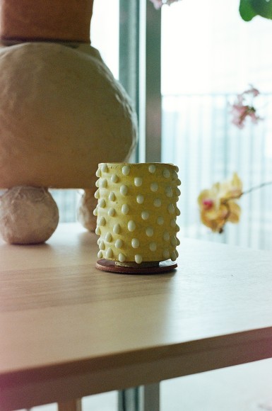 Photographer: Jessica W. Levin for Gossamer