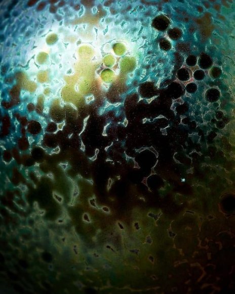 Dragonfly Double Gourd Vase