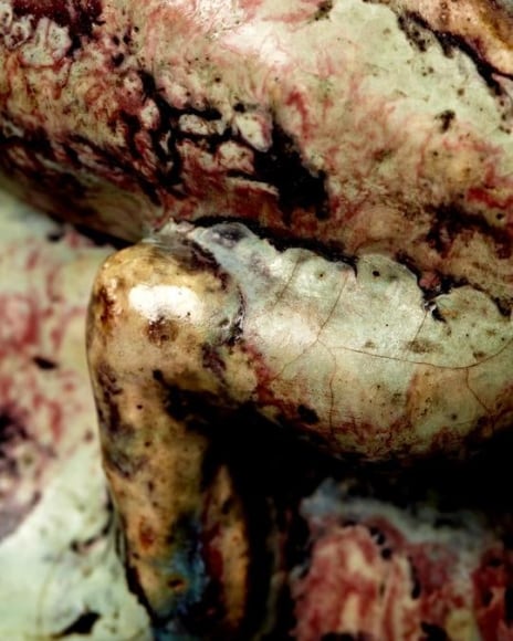 Fire Salamander Vase