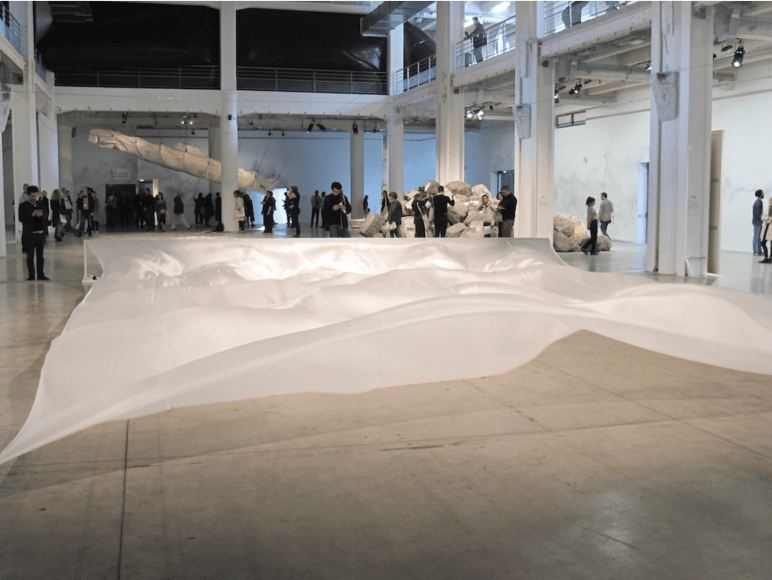 &nbsp;, The 2017 edition of the Biennale de Lyon.