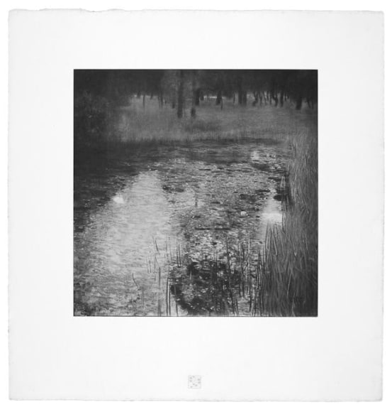 The Swamp from Das Werk Gustav Klimts printed in 1908-1914