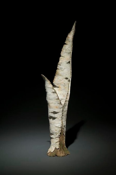Paper Birch Vase