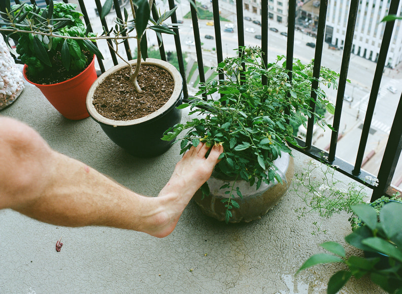 Photographer: Jessica W. Levin for Gossamer