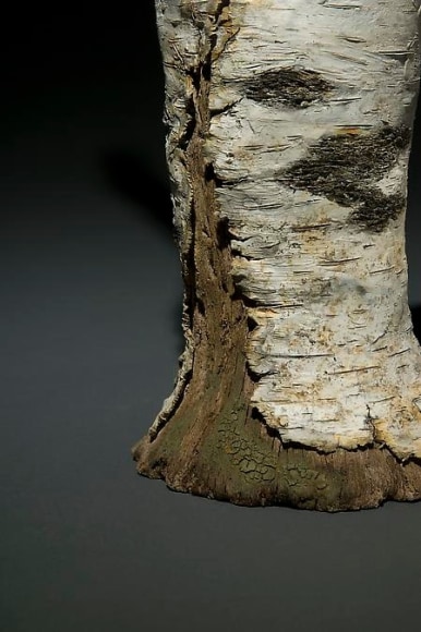Paper Birch Vase