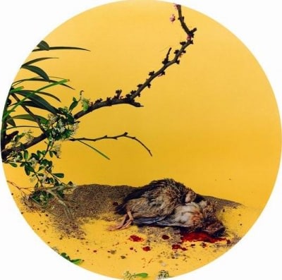 After Song Dynasty Painting “Autumn Chrysanthemum and Quail” , 1998