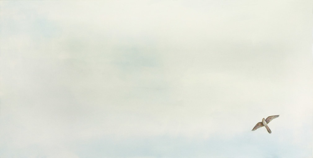 circling ever II, 2019