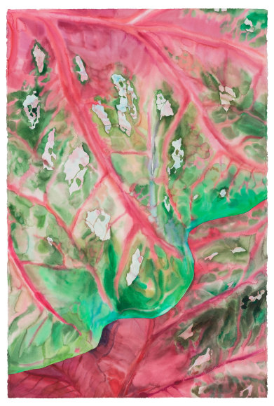 Guo Hongwei 郭鸿蔚, The Landscape of Natural Form No.2 自然形式的风景 No.2