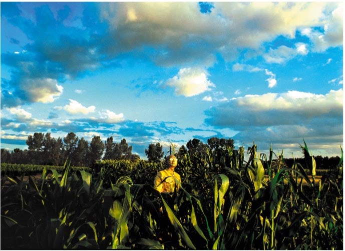 Deer Yi, Fairytale Keeper