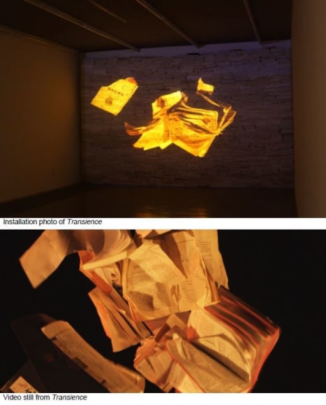 Transience 瞬息, 2010-2011