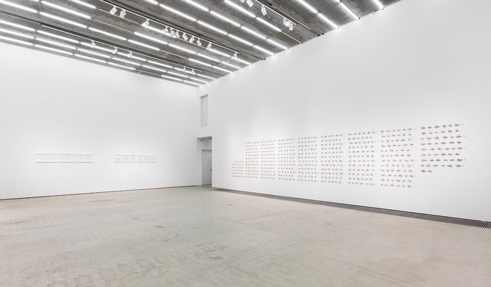 Cui Fei: Tracing the Origin II, Installation view