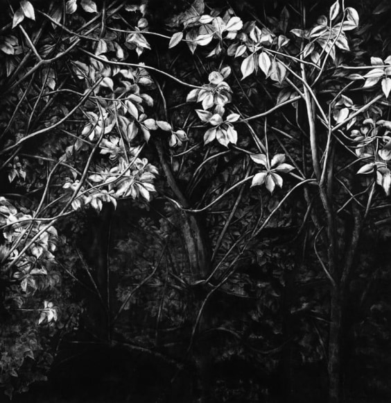 A Moonlit Night 月夜