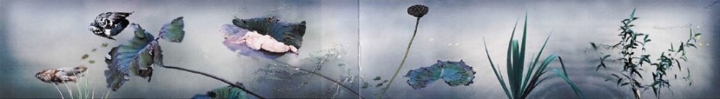 Dreaming of Song Emperor’s Garden on an Early Autumn Morning 我梦见了徽宗时代的池塘晚秋, 2000