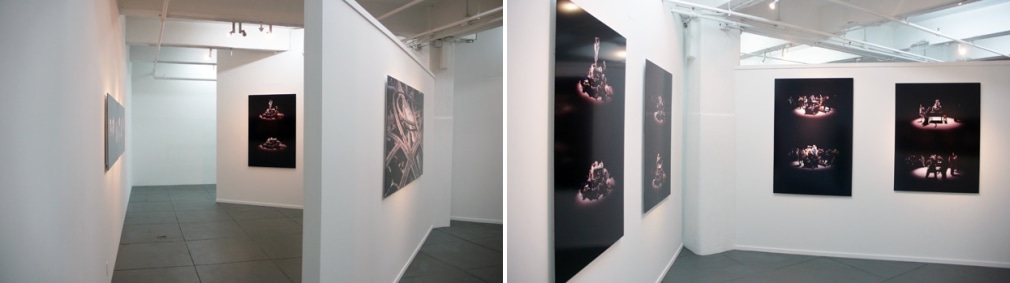Dilemma: Three Way Fork in the Road, Installation view
