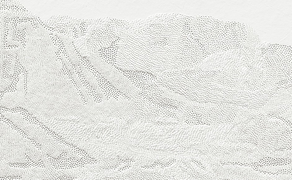 Detail, 208,500 Pinpricks