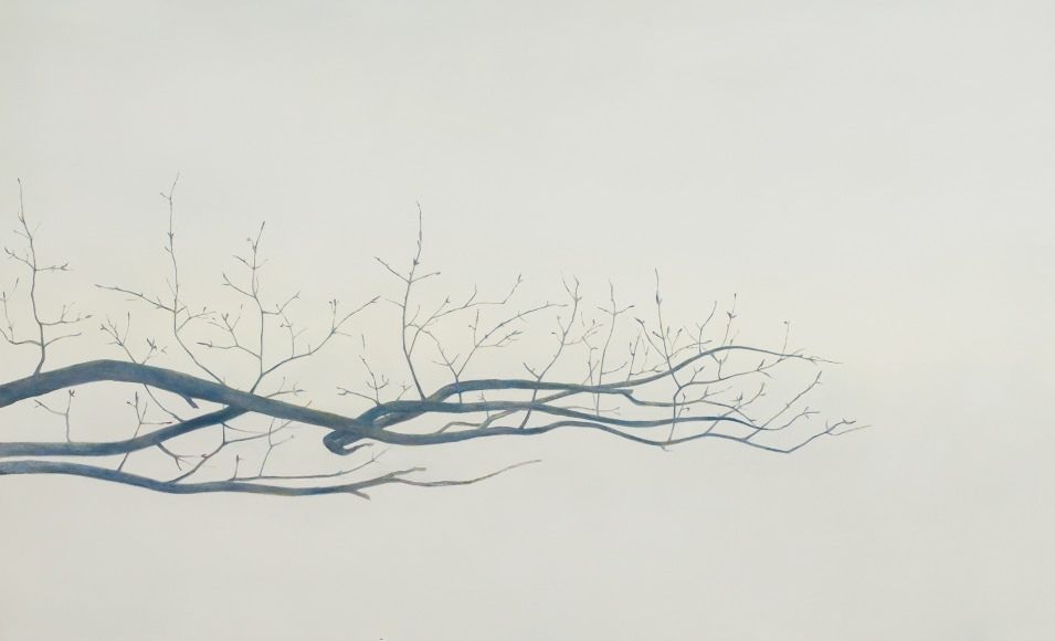 an uncertain spring I, 2019