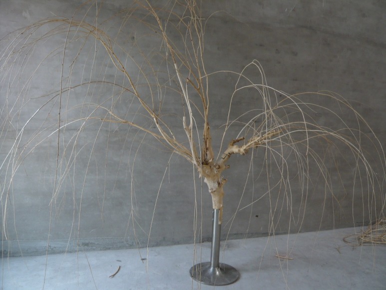 Gentle Breeze and Waning Moon 杨柳岸晓风残月