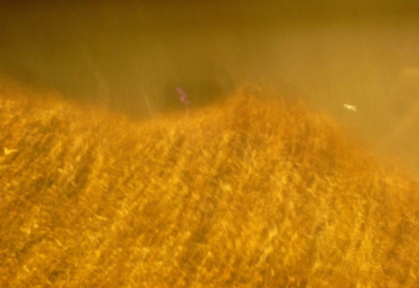 Zhuang Hui 庄辉 Yu Xi Tobacco Factory, May 22 (#5) 5月22日玉溪烟厂(5)