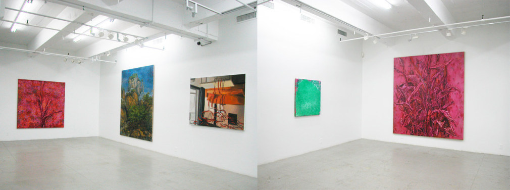 The Inverse Mirror, Installation view