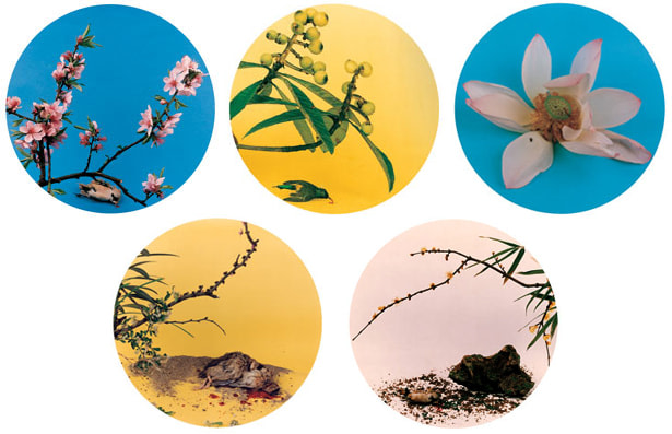 After Song Dynasty Painting, Circle Series 仿宋花鸟画, 2000