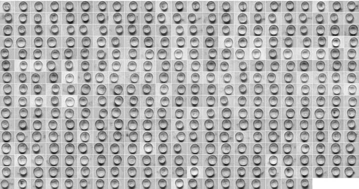 Lin&nbsp;Jingjing, My 365 Days