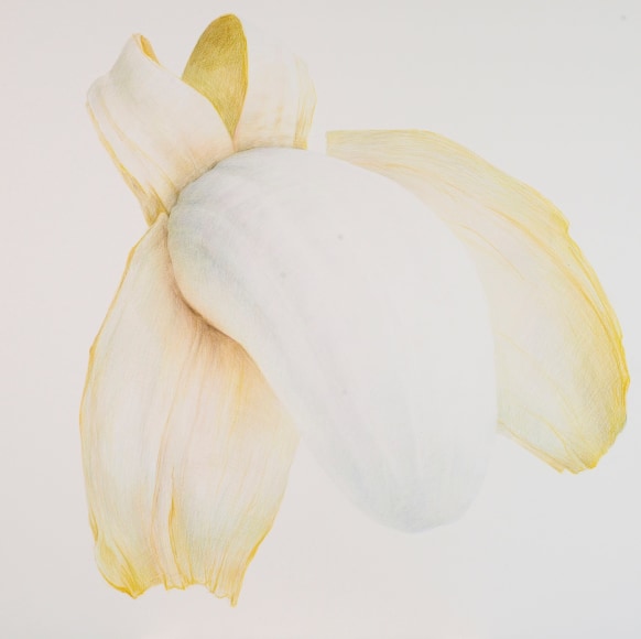 Zhang Dun 张盾, Banana 3 香蕉 3