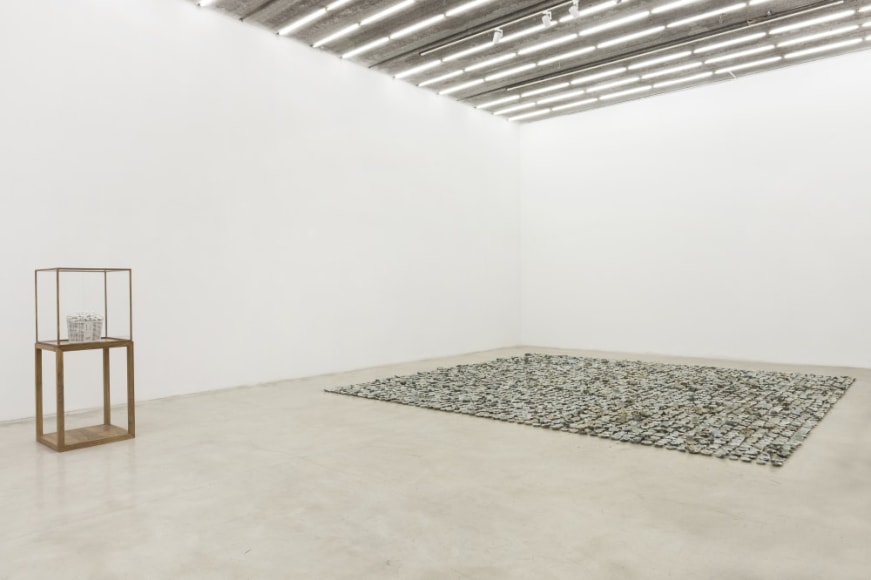 Ai Weiwei: Tiger, Tiger, Tiger