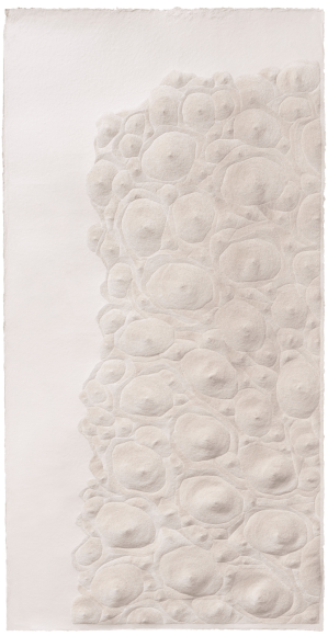 Fu Xiaotong 付小桐 (b.1976)
