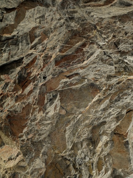 Web&nbsp;网 2018 Archival pigment print 收藏级艺术打印