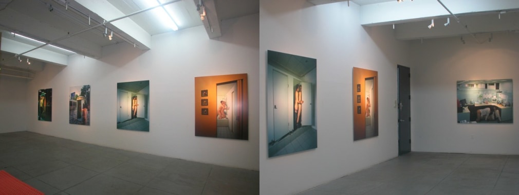 Naked Lunch, Installation view