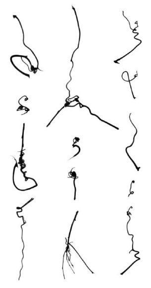 Tracing the Origin IX_I_i, 溯源之九(一)1, 2012