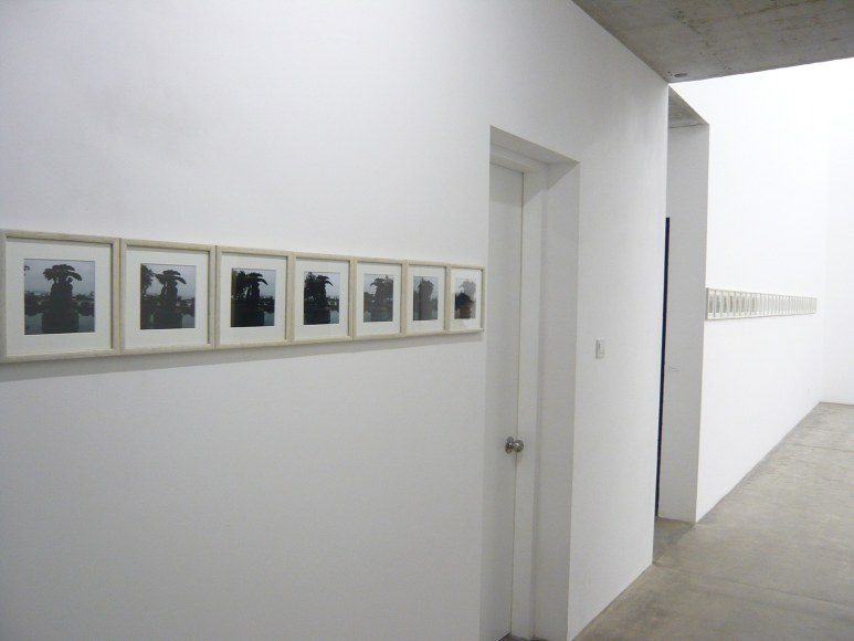 NET, Installation view