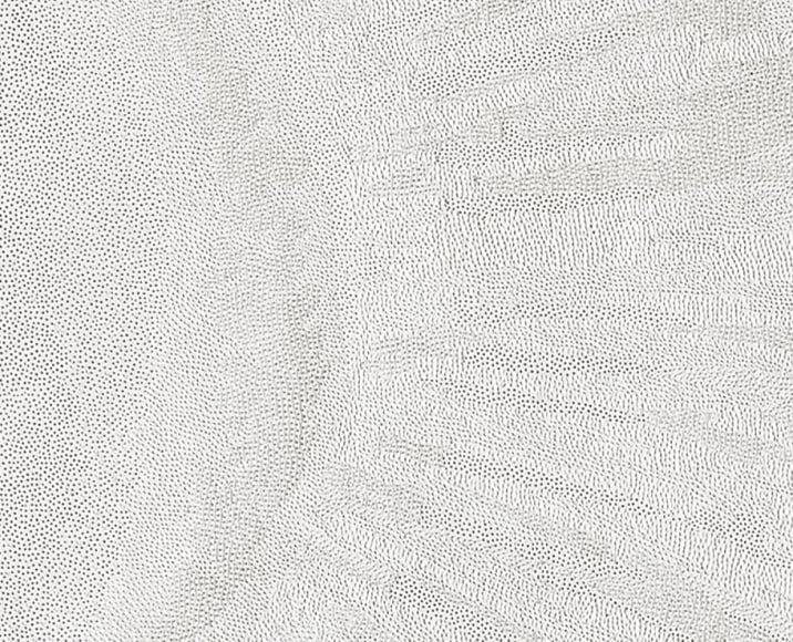 Detail, Pupil &ndash; 380,000 Pinpricks