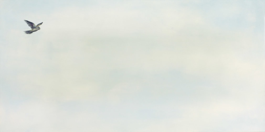 circling ever I, 2019