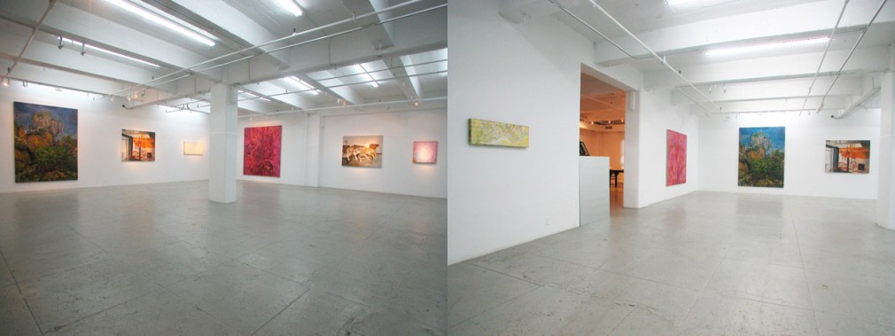The Inverse Mirror, Installation view