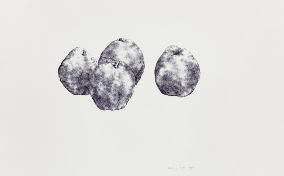 Pear No. 4 梨子 4, 2012