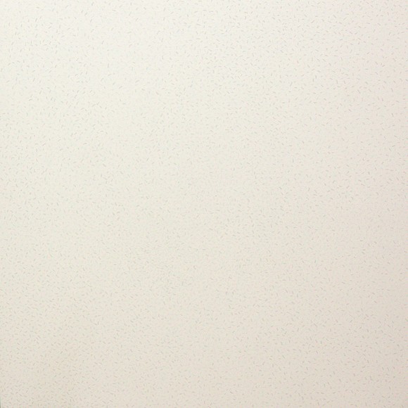 Zhao Zhao 赵赵 (b. 1982), Mouse Droppings No. 8 老鼠屎 No.8, 2010