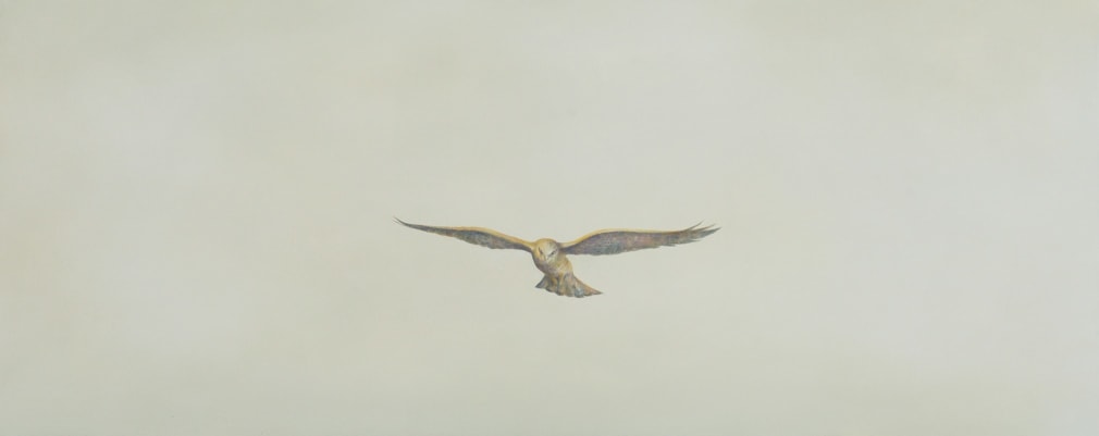 aviator, 2019 Oil on canvas 布面油画