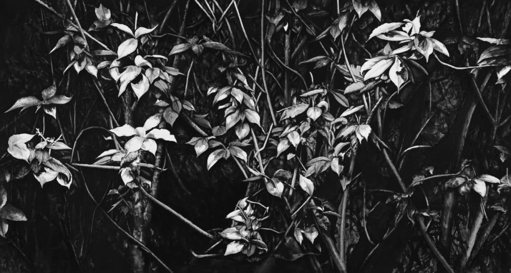 Lu Hui卢辉 (b. 1977)