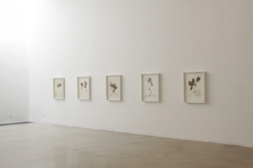 Guo Hongwei:&nbsp;Painting is CollectingInstallation view