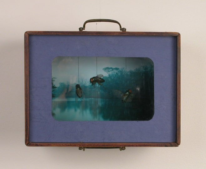 Three Flies of Yancheng City, 2003