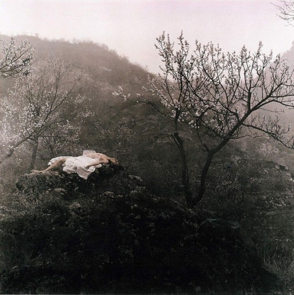 No. 8 (2) Beijing 北京 8 (2), 1999