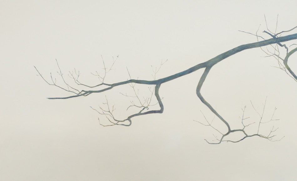 an uncertain spring II, 2019