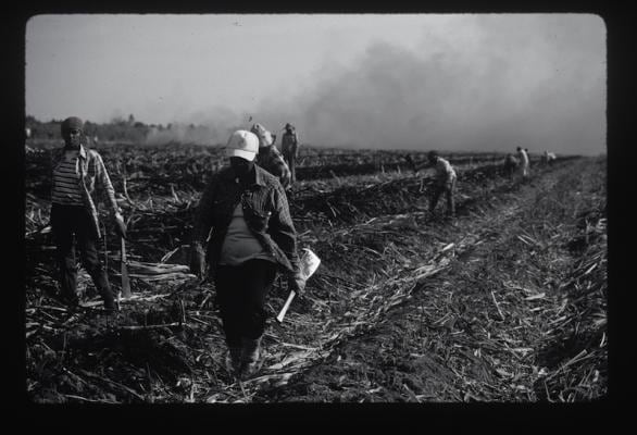 _CAC_artsdistrictneworleans