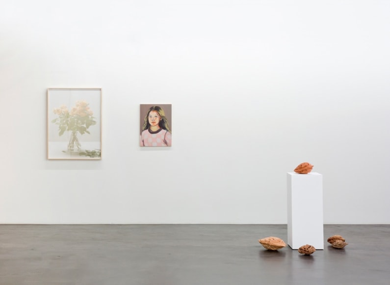 Installation view, Flowers in Your Hair, FUSED, 2016.