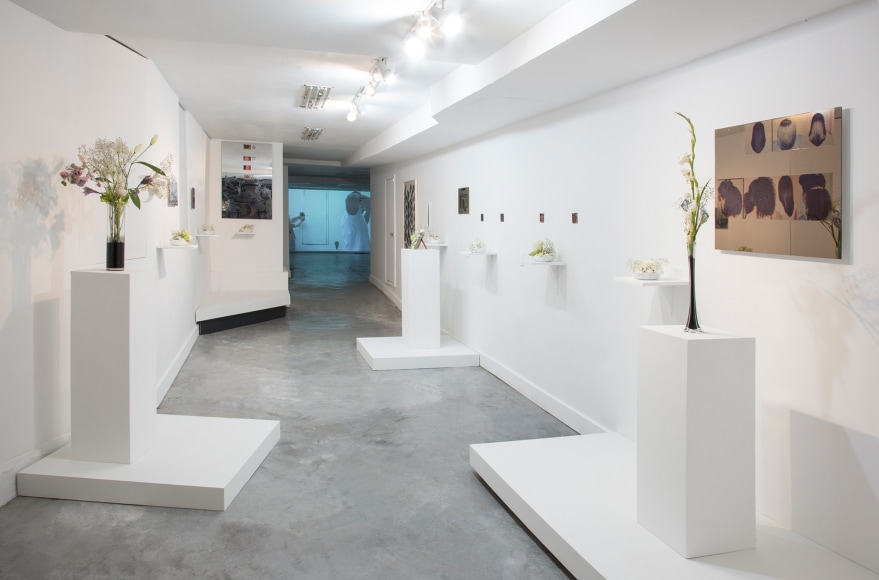 Eurydice, installation view at Constance, 2018.